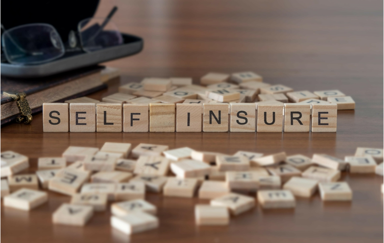 Self-Insure